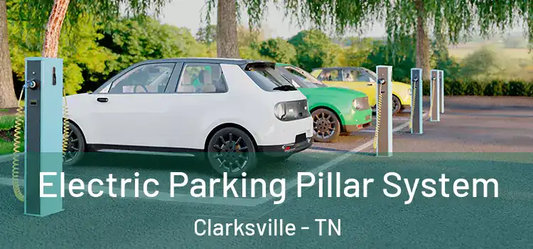  Electric Parking Pillar System Clarksville - TN