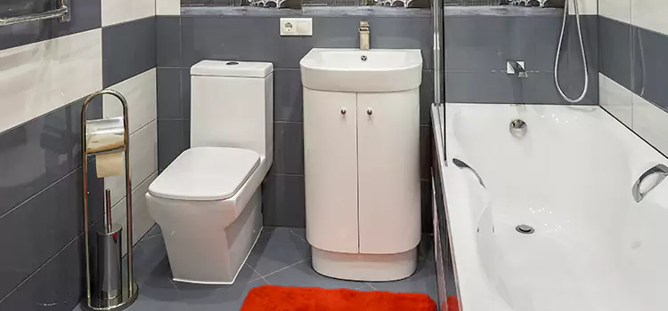 Hansgrohe Shaving Mirror Clarksville